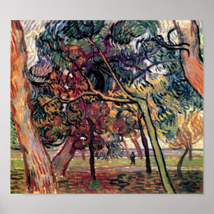 Vincent Van Gogh - Studie der Kiefern Kunstwerk Poster