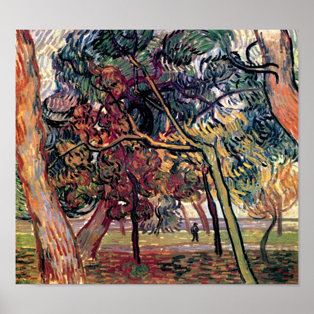 Vincent Van Gogh - Study of Pine Trees Fine Art Poster (Vorne)