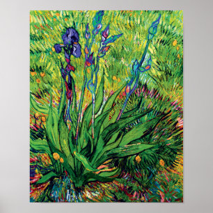Vincent Van Gogh - The Iris - Blume Lover Pop Art Poster
