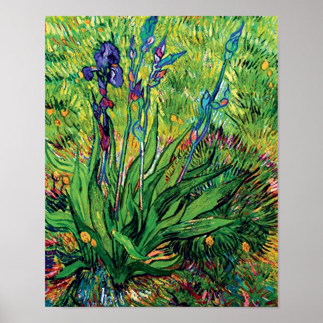 Vincent Van Gogh - The Iris - Blume Lover Pop Art Poster (Vorne)
