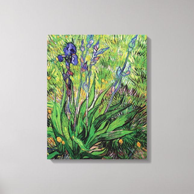 Vincent Van Gogh - The Iris Nature Lover Kunst Leinwanddruck (Vorderseite)