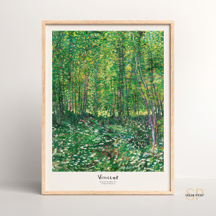 Vincent van Gogh Trees and UnderGrowth Art Print Poster