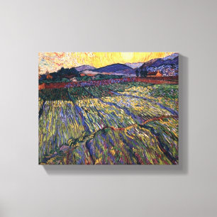 Vincent Van Gogh - umzäuntes Feld mit wachsender S Leinwanddruck