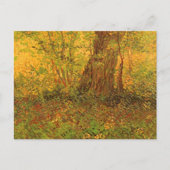 Vincent van Gogh - UnderGrowth Postkarte (Vorderseite)
