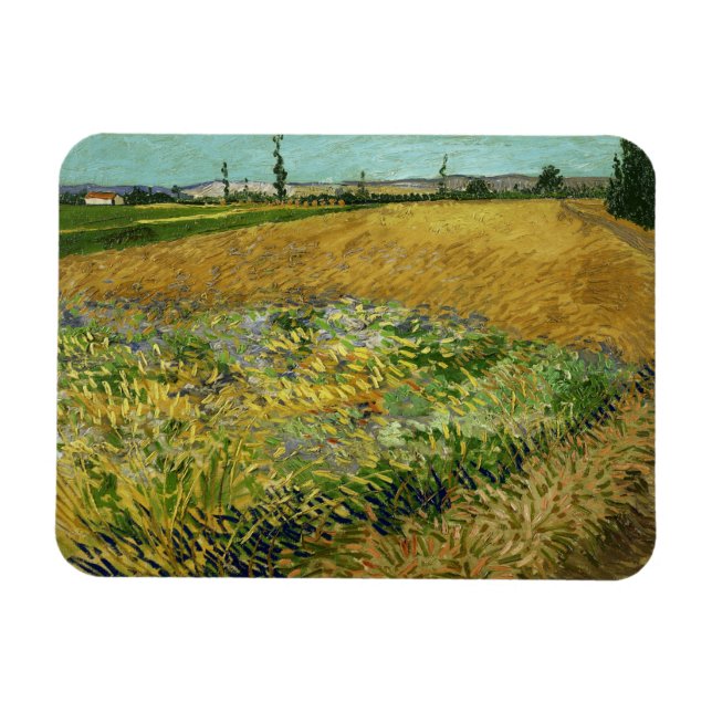 Vincent Van Gogh, Wheatfield, Korenveld Magnet (Horizontal)