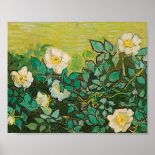 Vincent Van Gogh Wild Rose Kunst und Kunst Poster
