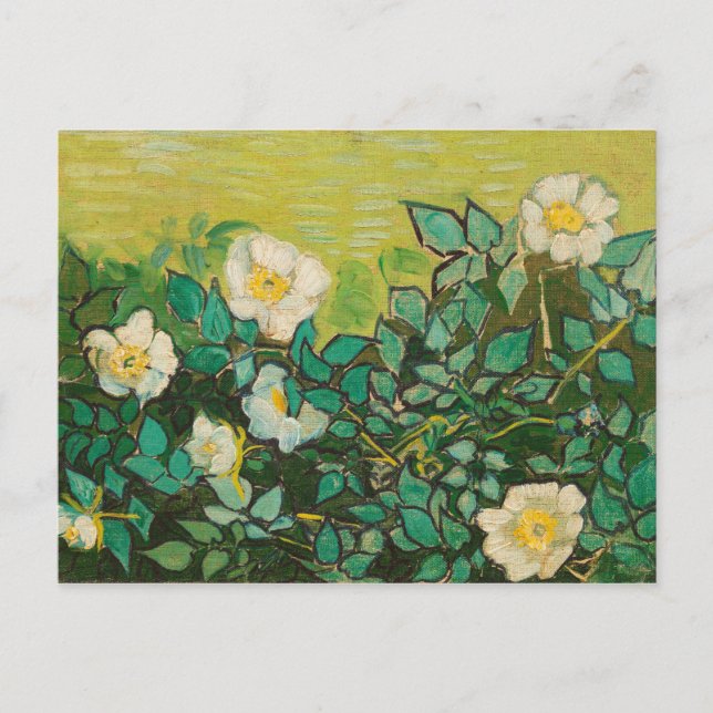 Vincent Van Gogh Wild Rose Kunst und Kunst Postkarte (Vorderseite)