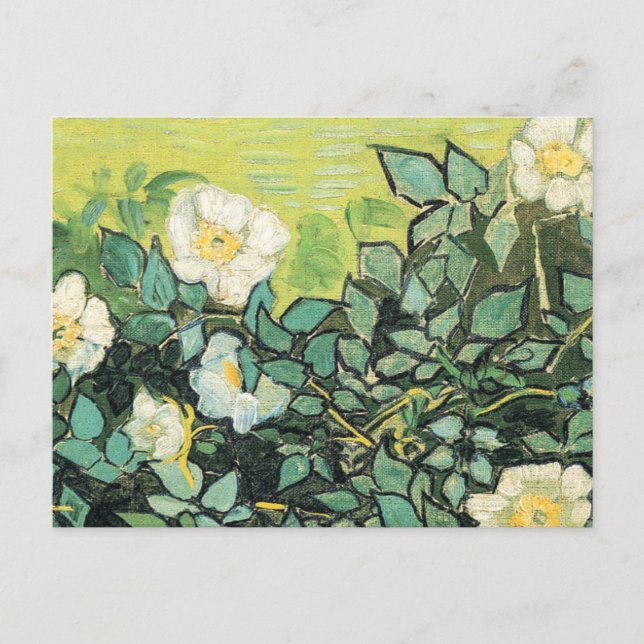 Vincent Van Gogh - Wilde Rose 1890 Postkarte (Vorderseite)