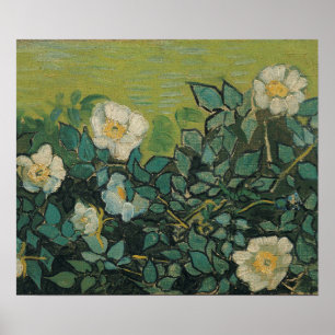 Vincent Van Gogh - Wilde Rose April, Mai Poster