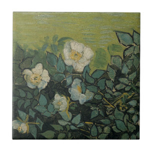 Vincent van Gogh - Wilde Rosen Fliese