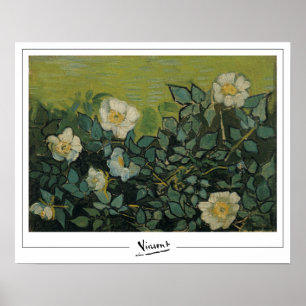 Vincent Van Gogh Zedign Art Poster #21