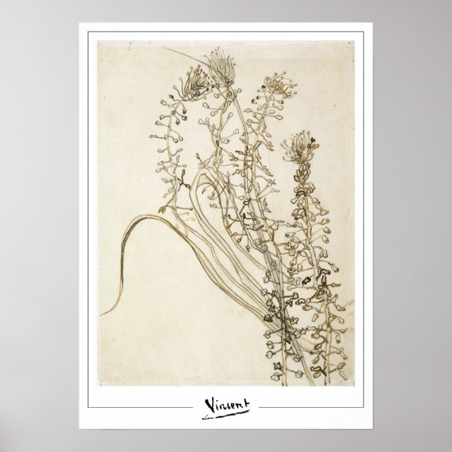 Vincent Van Gogh Zedign Art Poster #356-3 (Vorne)