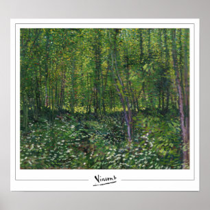 Vincent Van Gogh Zedign Kunstposter #31-3 Poster