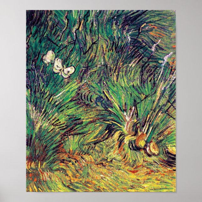 Vincent Van Gogh - Zwei weiße Schmetterlinge für s Poster (Vorne)
