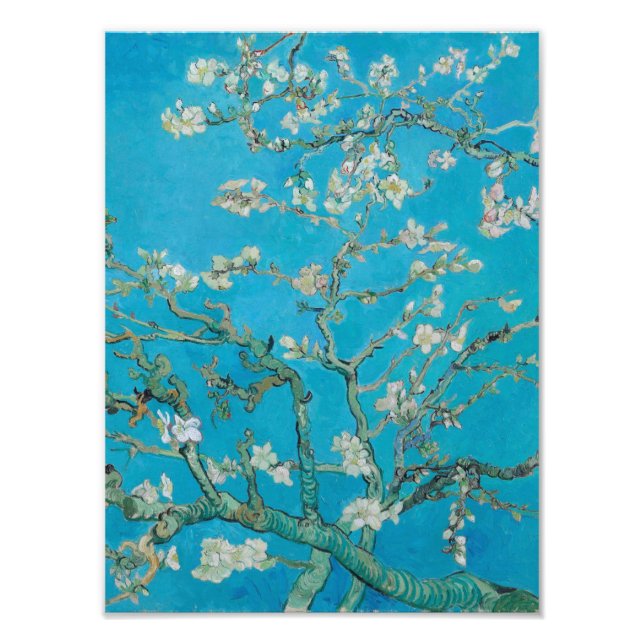 Vincent Van Gogh - Zweigstellen mit Almond Blossom Fotodruck (Vorne)
