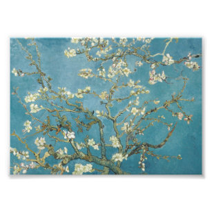 Vincent van Gogh's Almond blossom (1890) Fotodruck