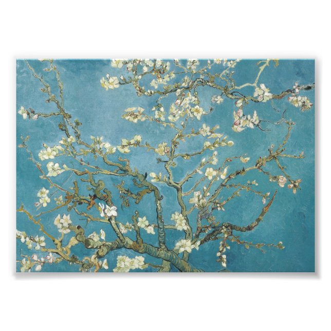 Vincent van Gogh's Almond blossom (1890) Fotodruck (Vorne)