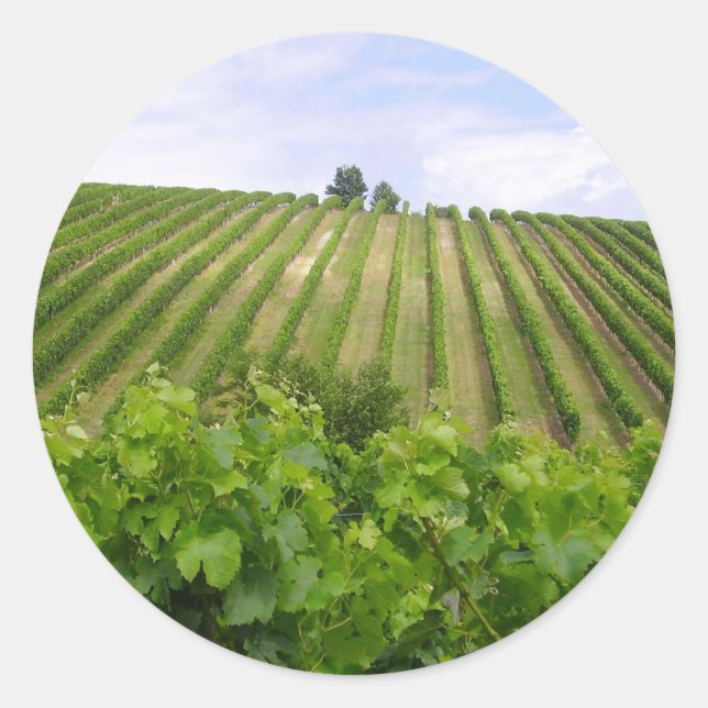 Vineyard - Weinberg (Bordeaux - Frankreich) 02 Runder Aufkleber (Vorderseite)
