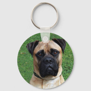 Vinnie Der Bullmastiff-Schlüsselanhänger Schlüsselanhänger