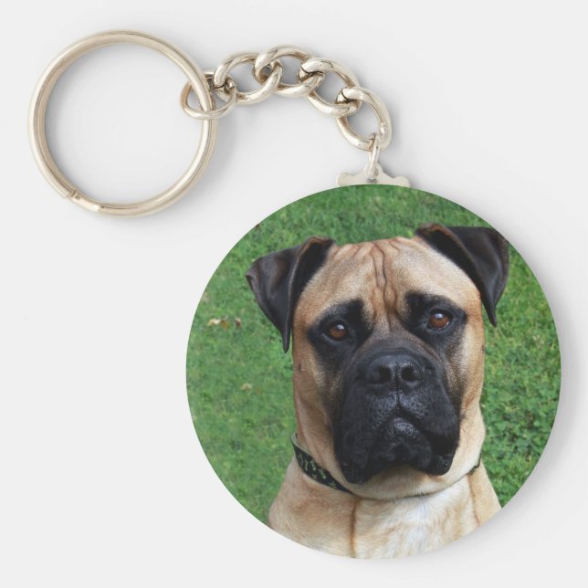 Vinnie Der Bullmastiff-Schlüsselanhänger Schlüsselanhänger (Vorne)