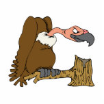 Vinnie Geier Freistehende Fotoskulptur<br><div class="desc">Wenn Sie Liebe Geier oder Kondore der Weltbekannteste Vogelreiniger,  dann Sie Liebe dieses große Geschenk werden!  Vervollkommnen Sie für Sie oder jedermann Sie Liebe,  die eine Affinität für Geier haben.</div>