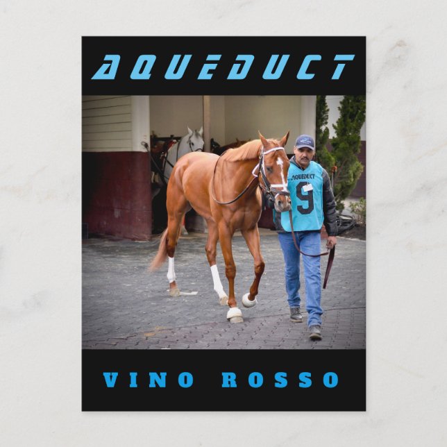 Vino Rosso - Paddock Postkarte (Vorderseite)