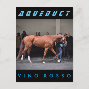 Vino Rosso - Todd Pletcher Postkarte