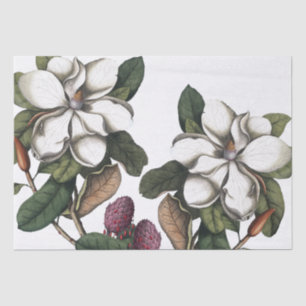 Vintag 1731 Magnolia Blume Pods Tissue Seidenpapier