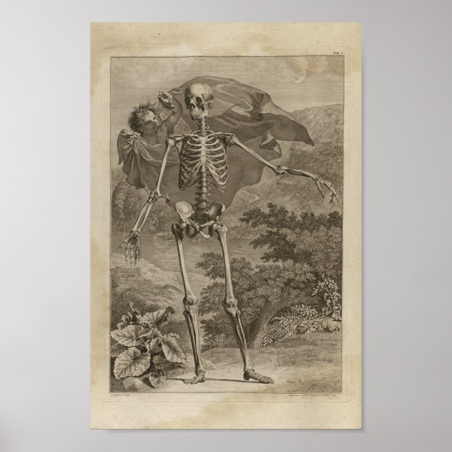 Vintag 1749 Skelettanatomie Druck Poster (Vorne)