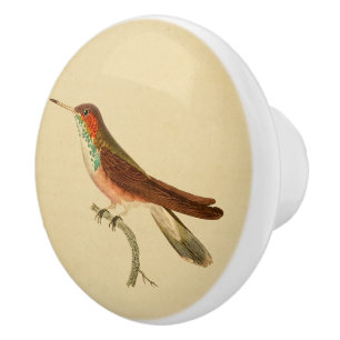 Vintag 1830 Hummingbird Drawer Knob Keramikknauf