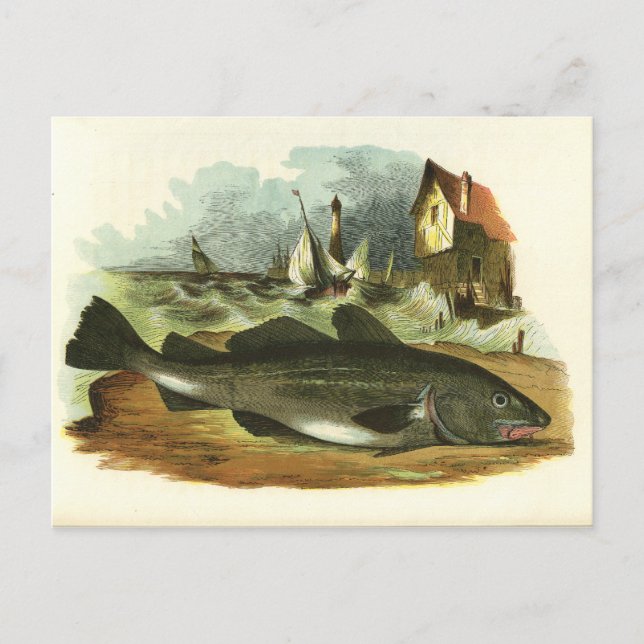 Vintag 1859 Kabeljau Fischfisch FolkArt Illustrati Postkarte (Vorderseite)