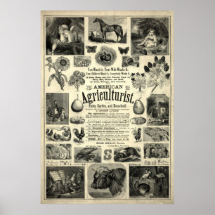 Vintag 1866 Der amerikanische Agrarwissenschaftler Poster