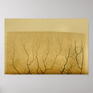 Vintag 1886 Nerven des Zentralnervensystems Poster