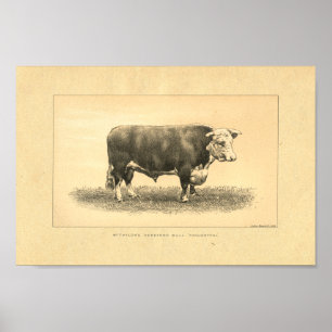 Vintag 1888 Bull Print Poster