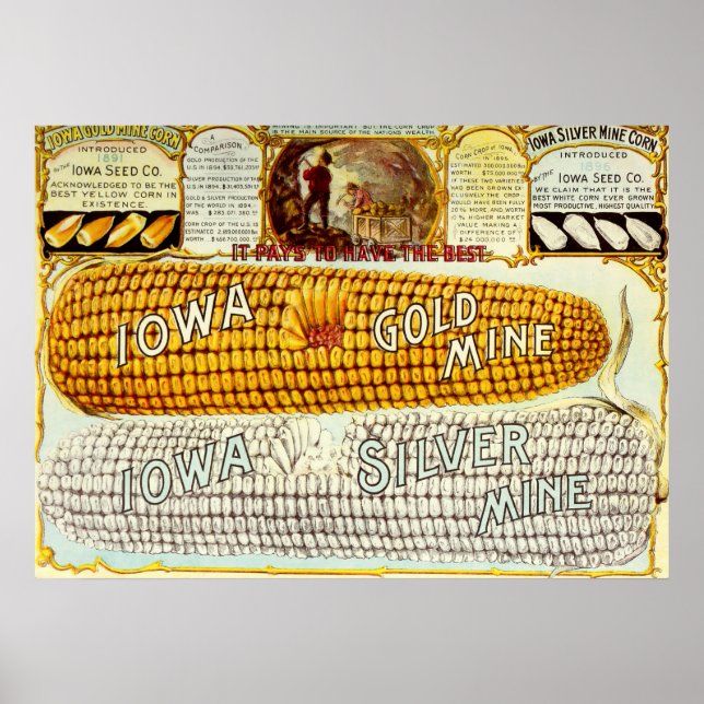 Vintag 1896 Iowa-Maiswerbung Poster (Vorne)