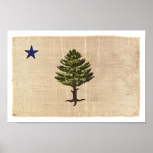 Vintag 1901 Maine Flag Print (klein) Poster