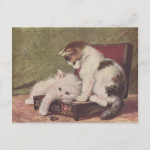Vintag 1907 Illustration of Kittens Playing Postkarte