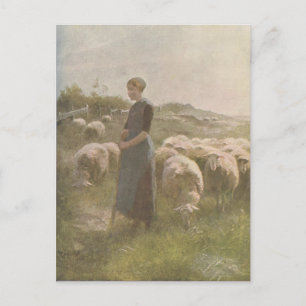 Vintag 1907 Illustration of Sheep in Pasture Postkarte