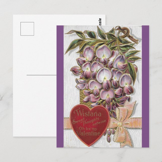 Vintag 1912 Lila Wistaria Postkarte (Vorne/Hinten)