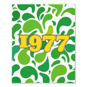 Vintag 1977 fotodruck