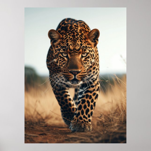 Vintag 1979 Wildfauna Habitat - Majestic Animal Po Poster (Vorne)