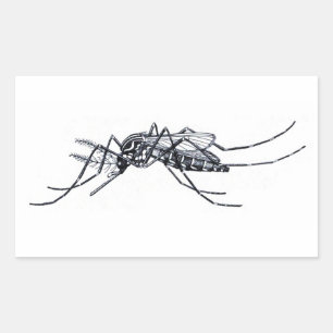 Vintag Aedes aegypti Abbildung Rechteckiger Aufkleber