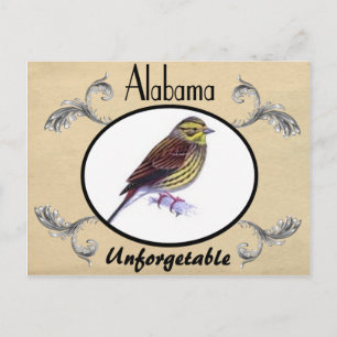 Vintag Alte Postkarte Alabama Staat