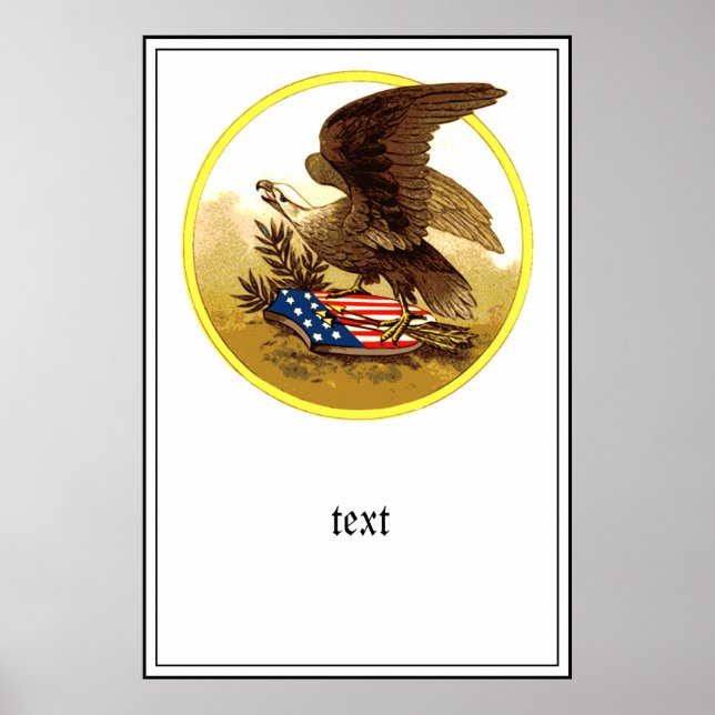 Vintag American Bald Eagle Poster (Vorne)