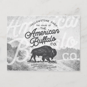 Vintag American Buffalo Montana Travel Postkarte
