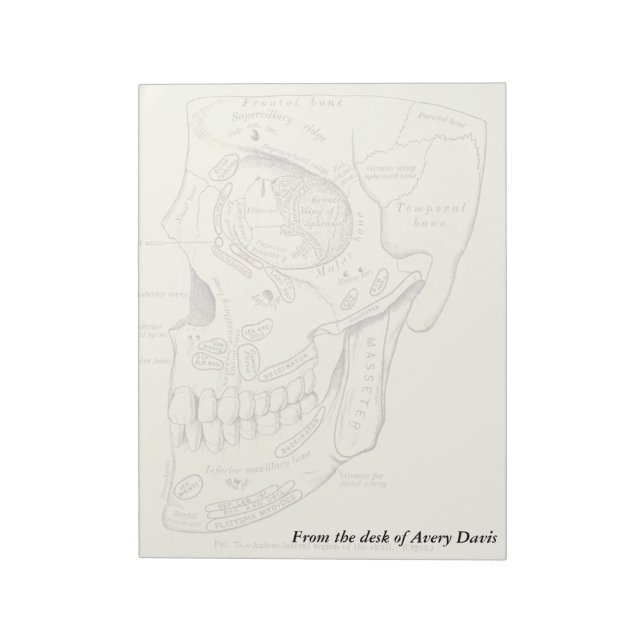 Vintag Anatomie Anterolaterale Schädelregion Notizblock (Rotiert)