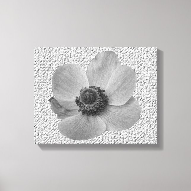 Vintag Anemone Canvas Print Leinwanddruck (Vorderseite)