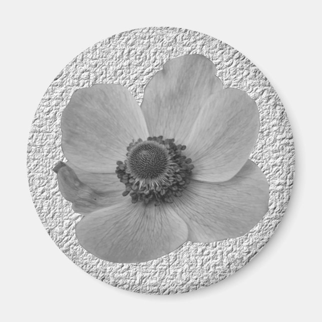 Vintag Anemone Magnet (Vorne)