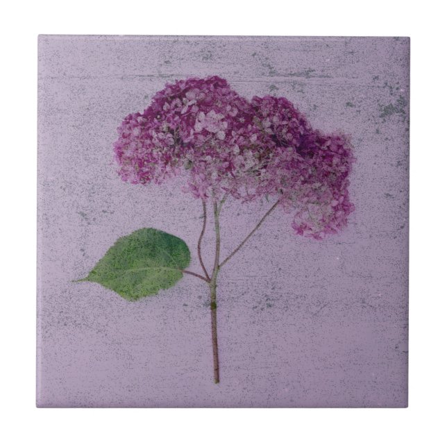 Vintag antike Lila Hydrangea Land Floral Fliese (Vorderseite)