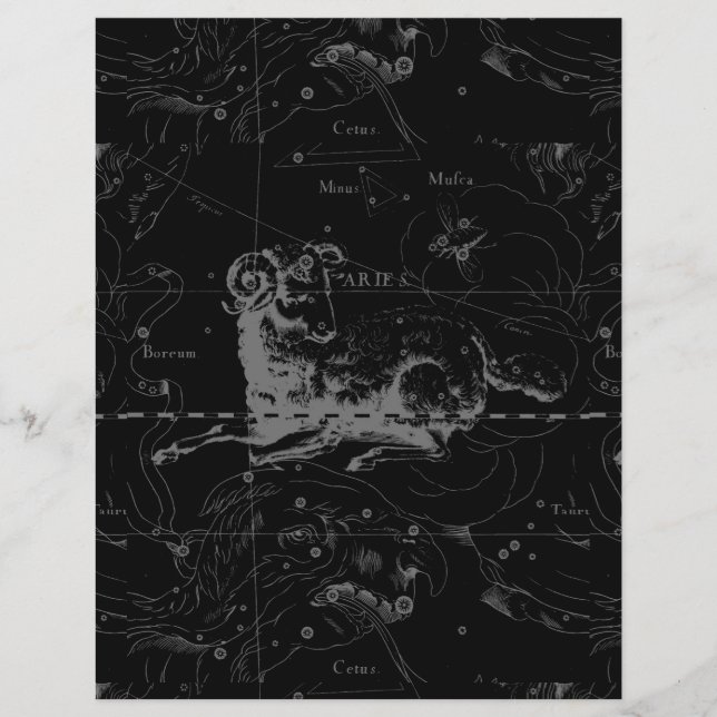 Vintag Aries Unterzeichner-Konstellation Hevelius  Flyer (Vorne)